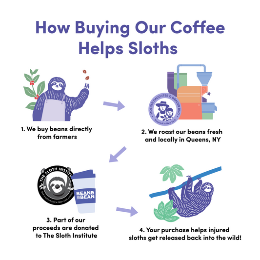 Rio Nights - Coffee Selection for Smooth Everyday Cups