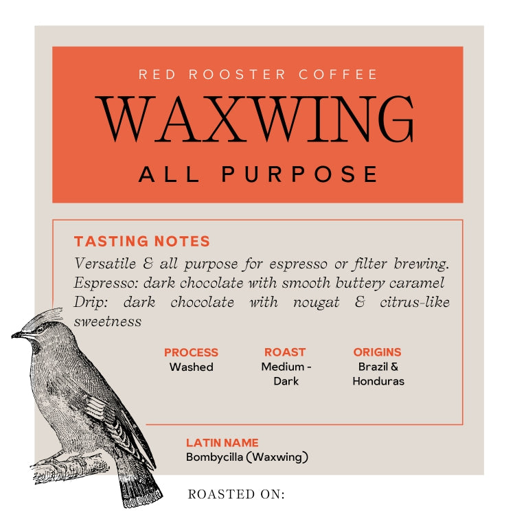 Waxwing All-Purpose Blend - Coffee Selection for Smooth Everyday Cups