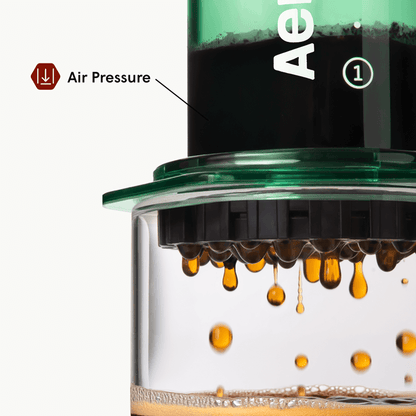 Traveler’s Bundle - Clear - Brewing Kit for Convenient Coffee Preparation