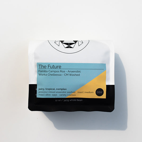 The Future 12 oz - Coffee Selection for Smooth Everyday Cups
