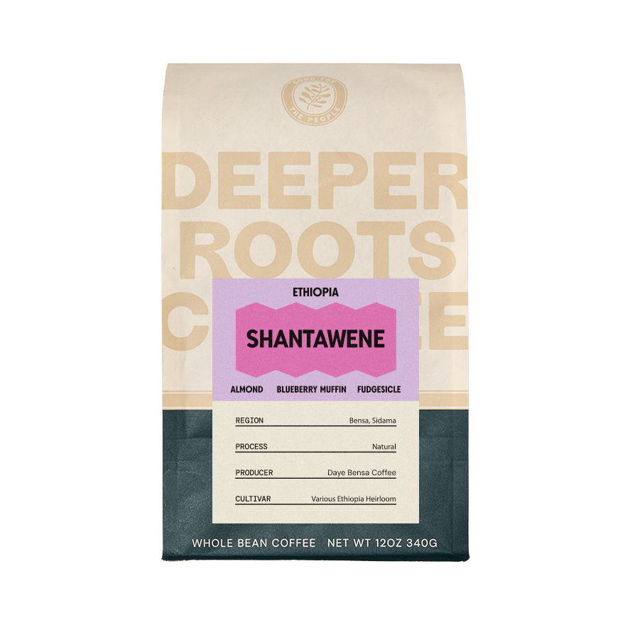 Ethiopia Shantawene 12 oz - Coffee Selection for Smooth Everyday Cups