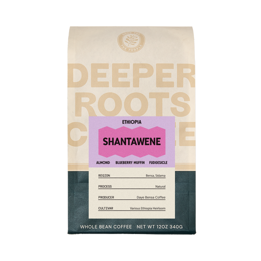 Ethiopia Shantawene 12 oz - Coffee Selection for Smooth Everyday Cups