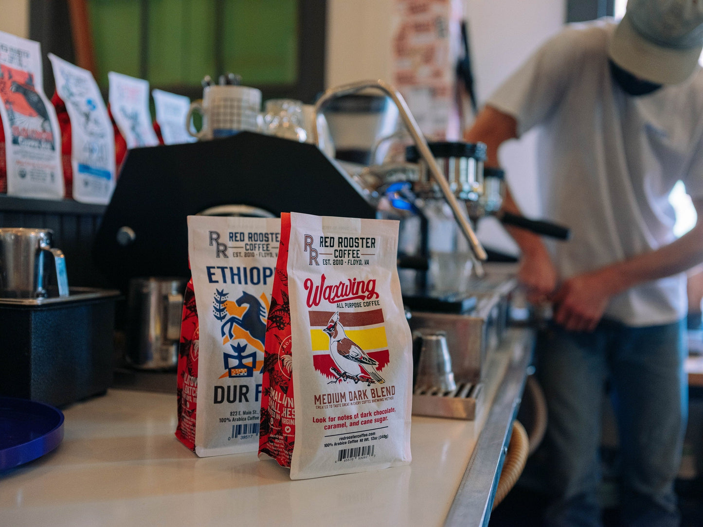 Waxwing All-Purpose Blend - Coffee Selection for Smooth Everyday Cups
