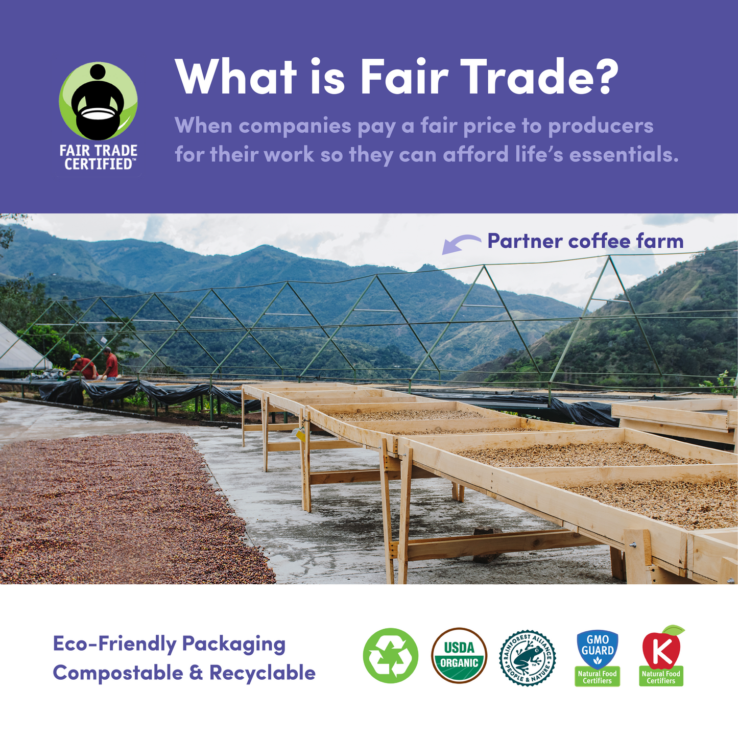 Downtown Blend Organic & Fair Trade - Coffee Selection for Smooth Everyday Cups