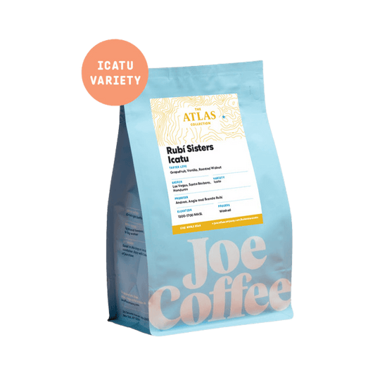Rubi Sisters Icatu 12 oz - Coffee Selection for Smooth Everyday Cups